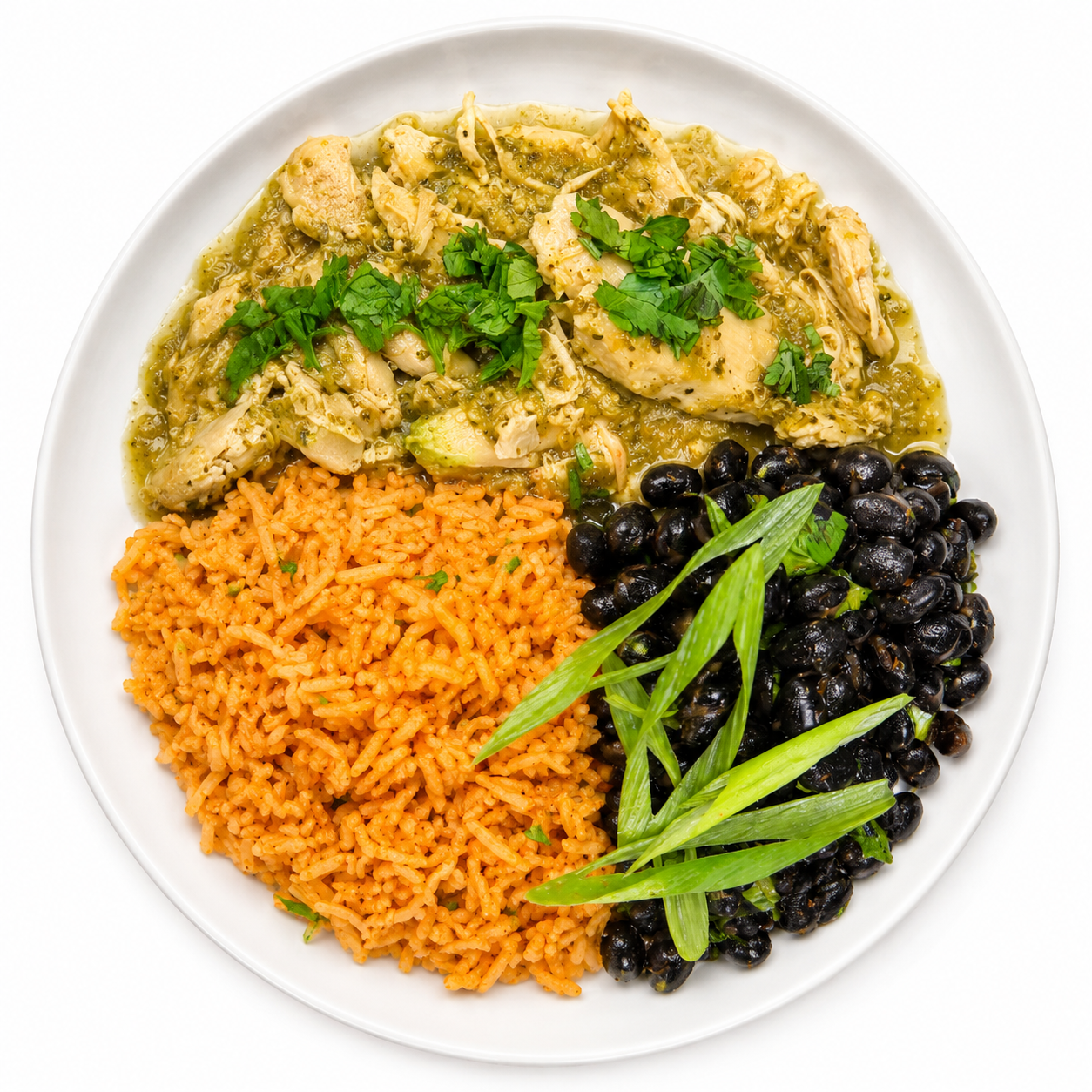 Shredded Chicken Salsa Verde