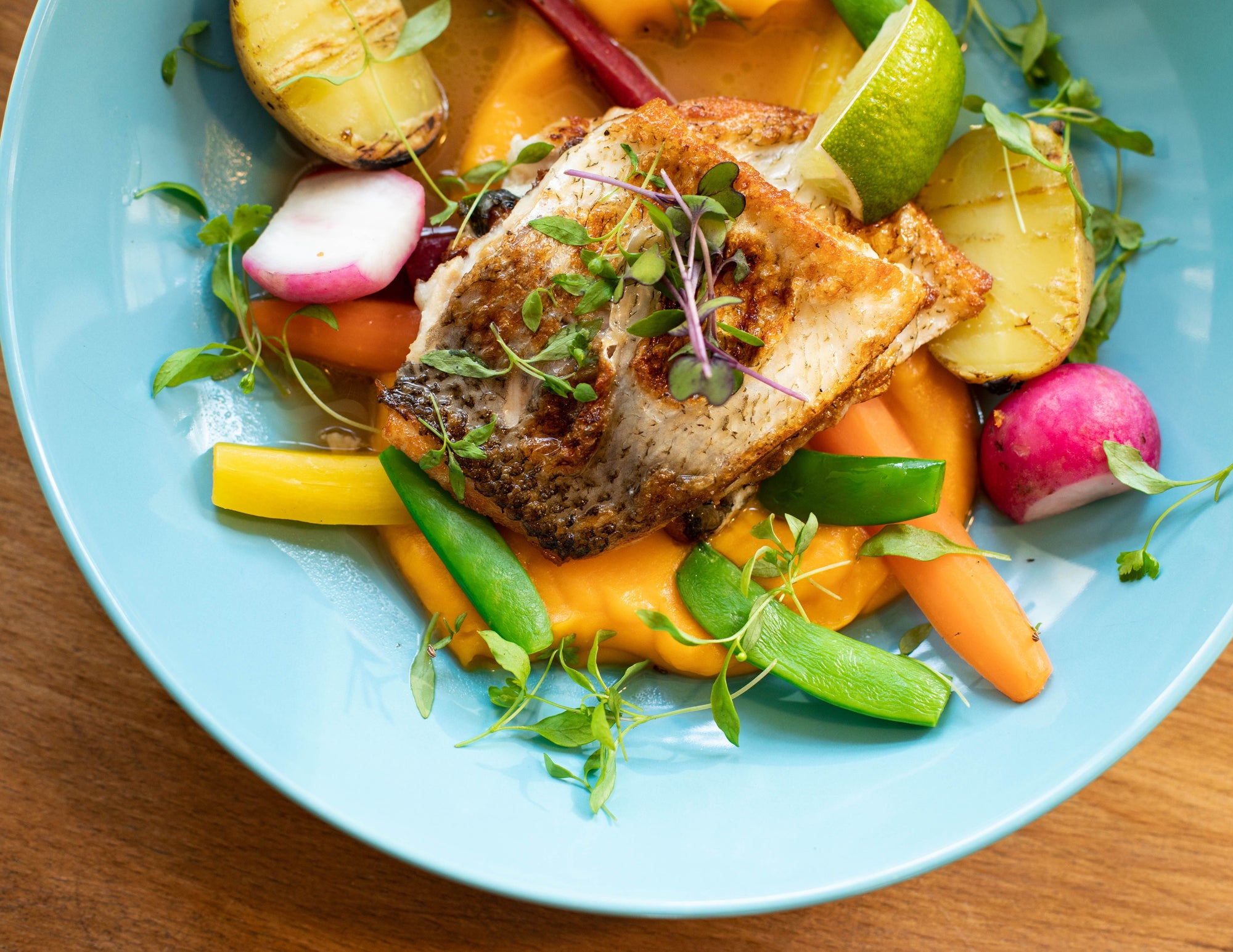Salmon with colorful vegetables on a ceramic plate